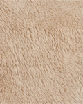 Dog_Co_1C5A2686