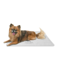 Dog_Co_1C5A8427