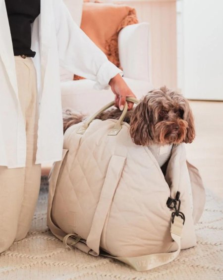 Multipurpose Carrier & Car Seat