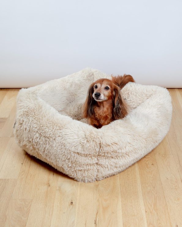 Dog_Co_1C5A2681