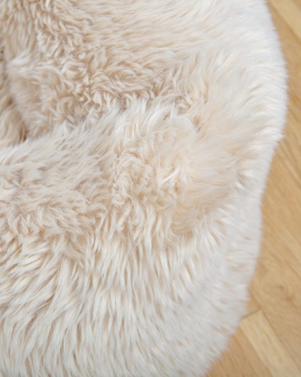 Dog_Co_1C5A2683