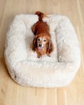Dog_Co_1C5A2686