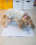 Non-Toxic Pet Cooling Mat (Made in Korea)