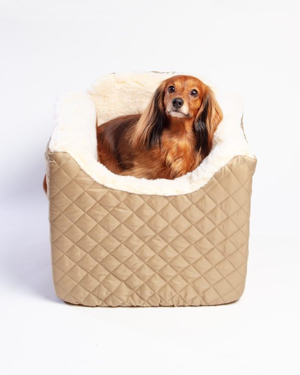 dog_co_snoozer_1c5a6041a_4e991115-69ea-41b7-b4bd-91080bb4185e