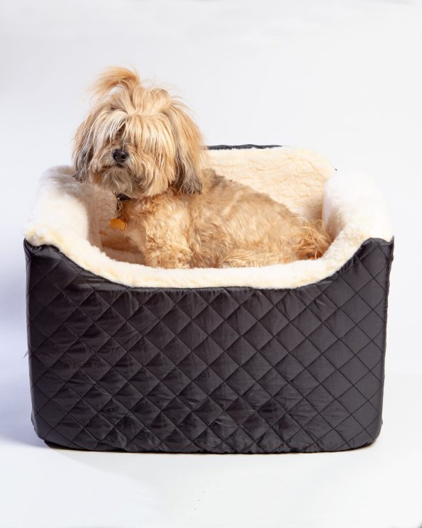dog_co_snoozer_1c5a6048a_4343cfdb-97ff-46ad-9b49-34a3ec14f1d7